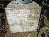 image of grave number 381931